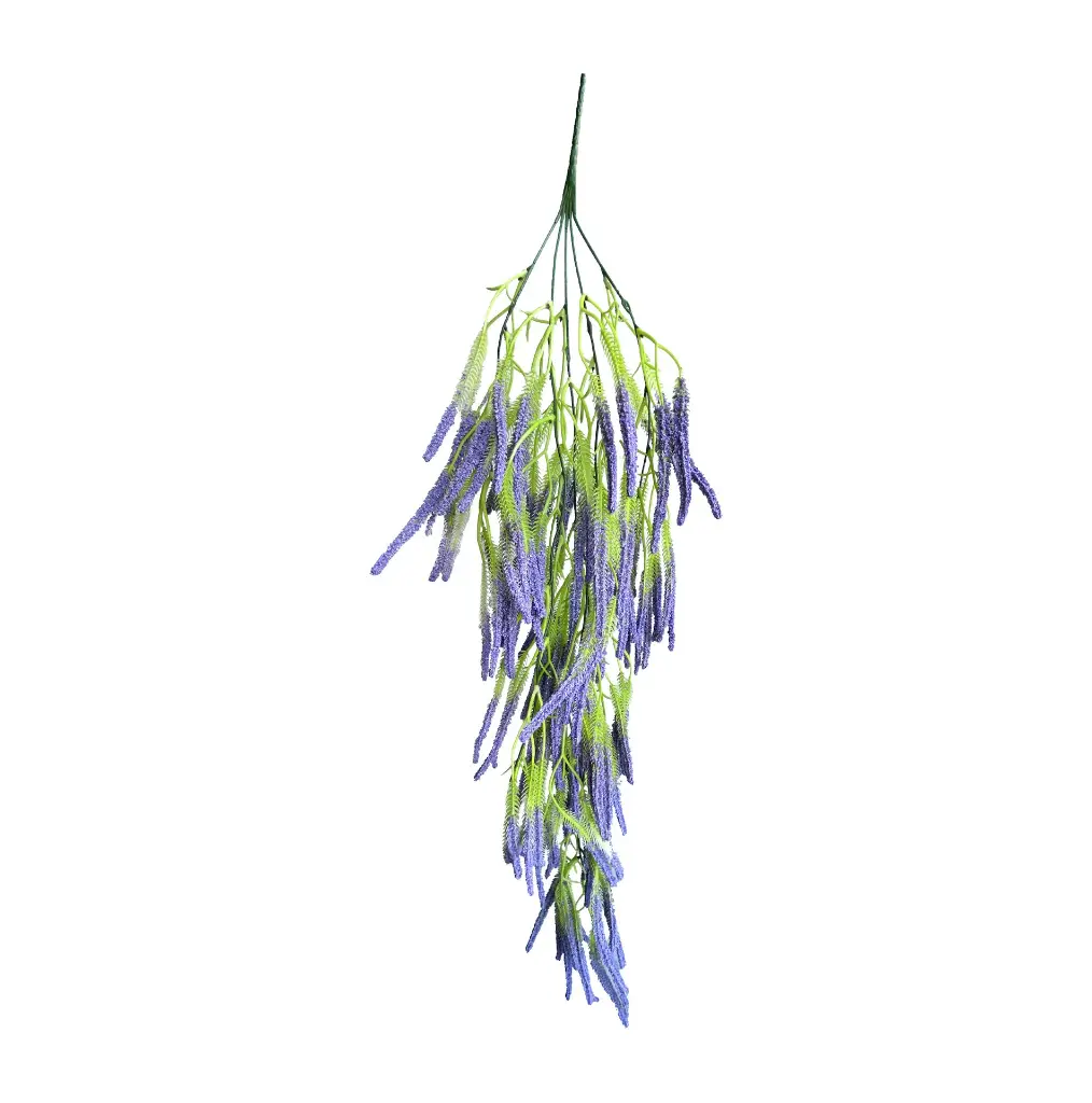630579紫色.webp