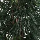 631354-1.webp