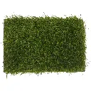 4.1 CUBA 33MM.webp