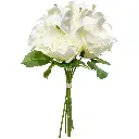 630896白色.webp