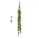 630458绿.webp