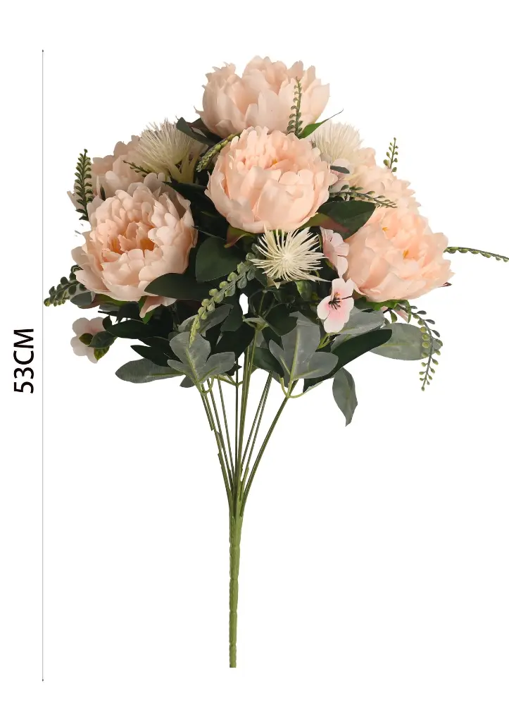 631073香槟.webp