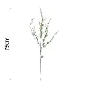 631629.1.webp