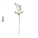 631633.1.webp