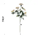 631634.1.webp