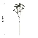 631636.3.webp