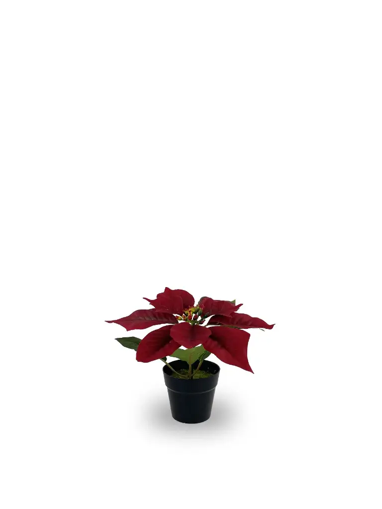 630872-RED.webp