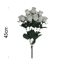 MF26003.1.webp