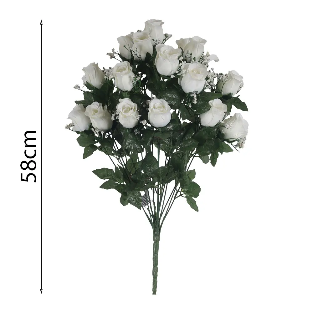 MF26006.2.webp