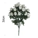 MF26006.2.webp
