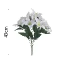 MF26007.1.webp