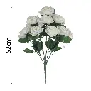 MF26010.1.webp