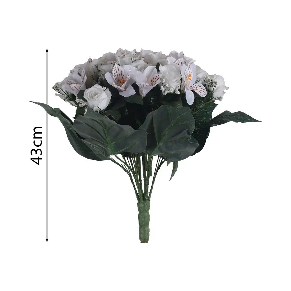 MF26012.1.webp
