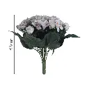 MF26012.1.webp