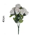 MF26014.1.webp