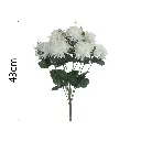 MF26015.1.webp