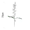 MF26016.2.webp