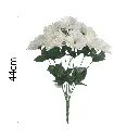 MF26017.1.webp