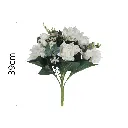 MF26021.1.webp