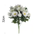MF26022.1.webp