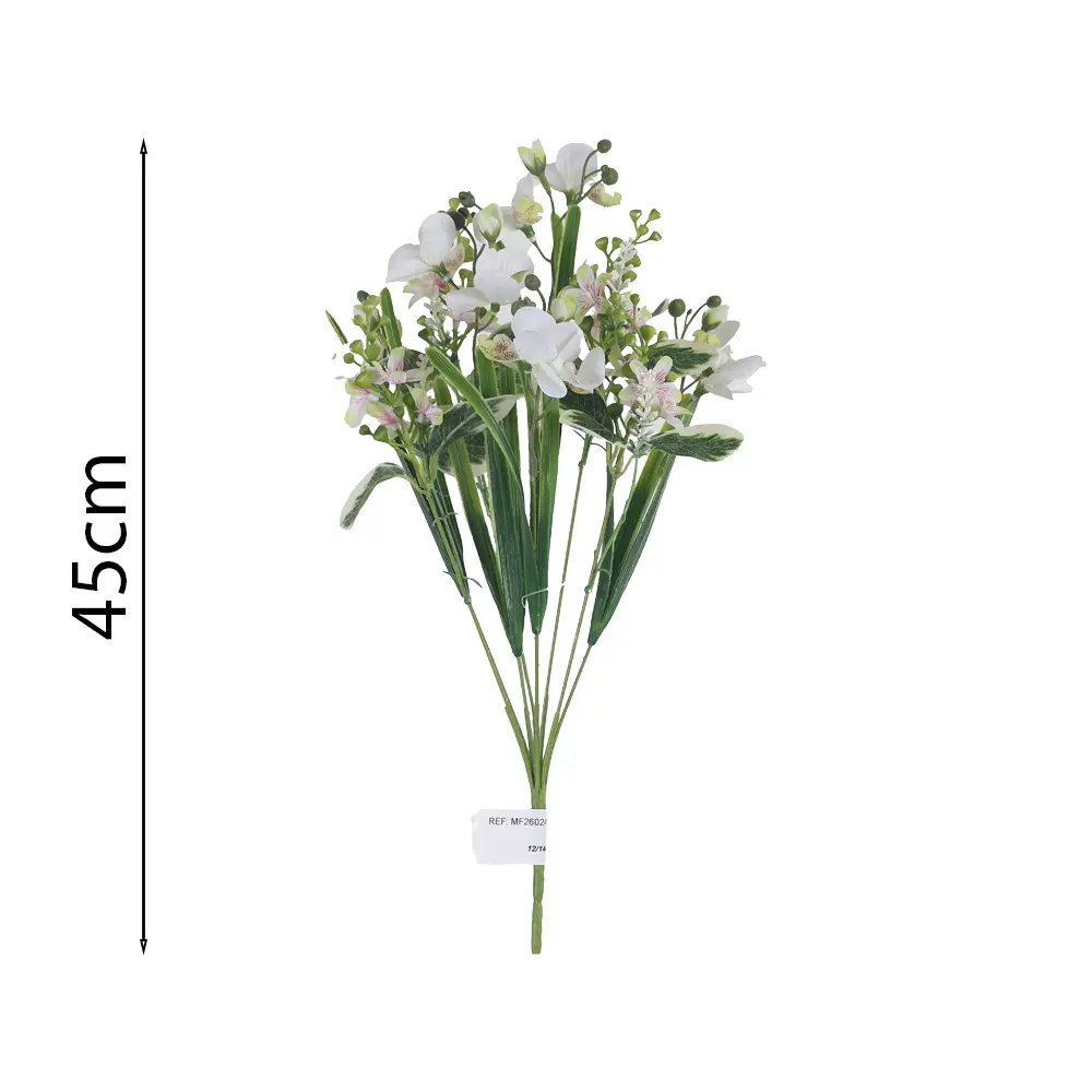MF26024.1.webp