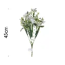 MF26024.1.webp
