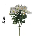 MF26028.1.webp