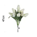 MF26038.6.webp