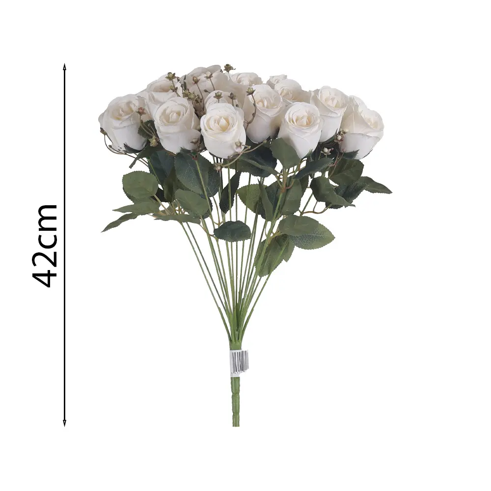 MF26039.1.webp