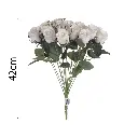 MF26039.1.webp