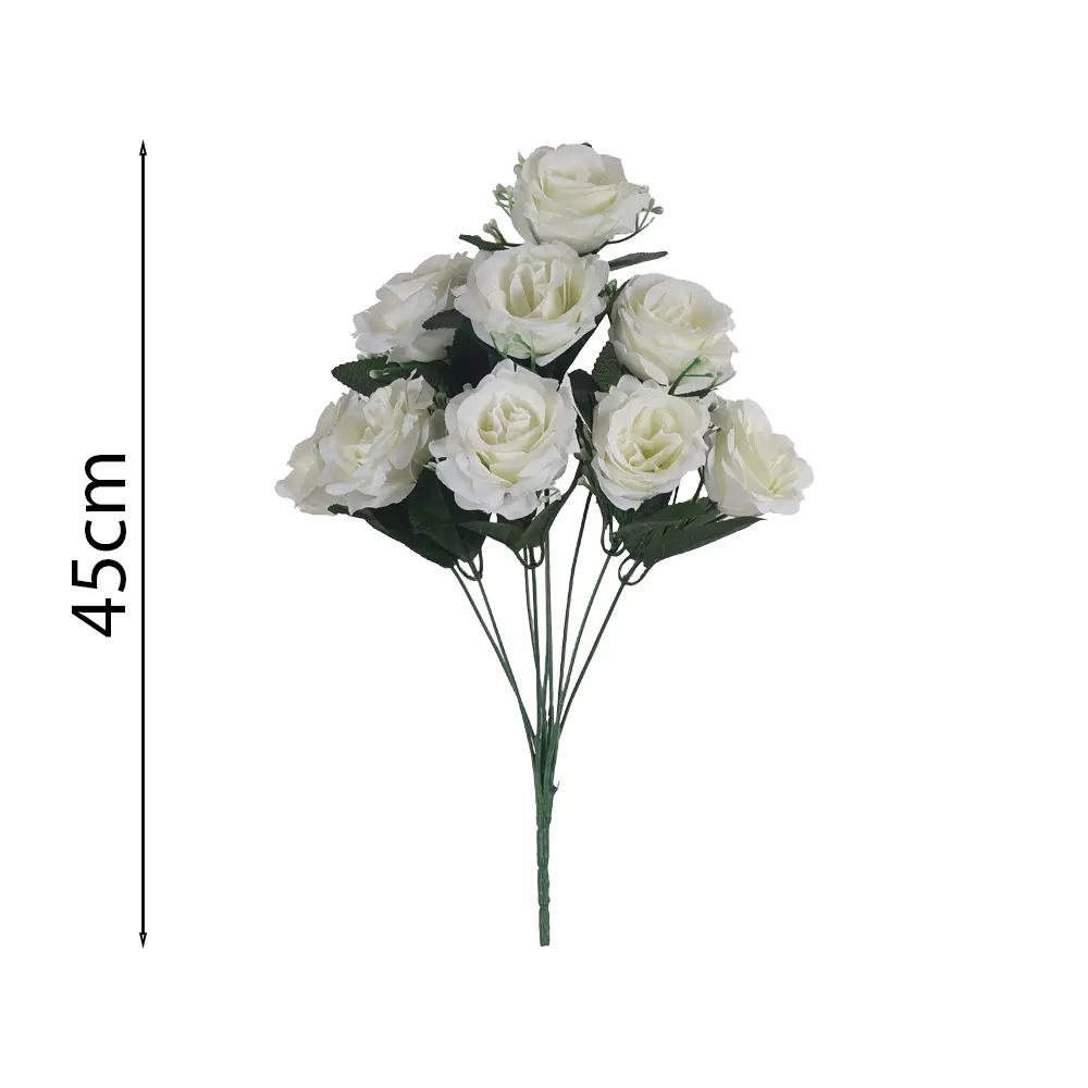 MF26046.1.webp