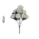 MF26046.1.webp