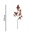 631648.3.webp