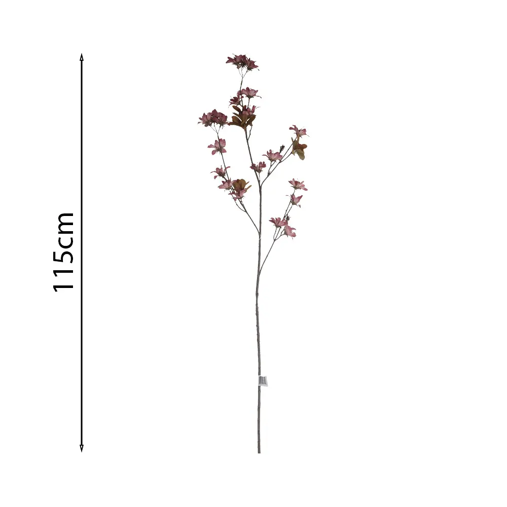 631649.2.webp