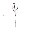 631649.2.webp