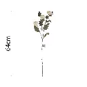 631635.1.webp