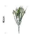 631640.1.webp