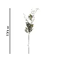 631650.1.webp