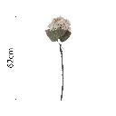 631546.1.webp