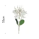 631643.1.webp