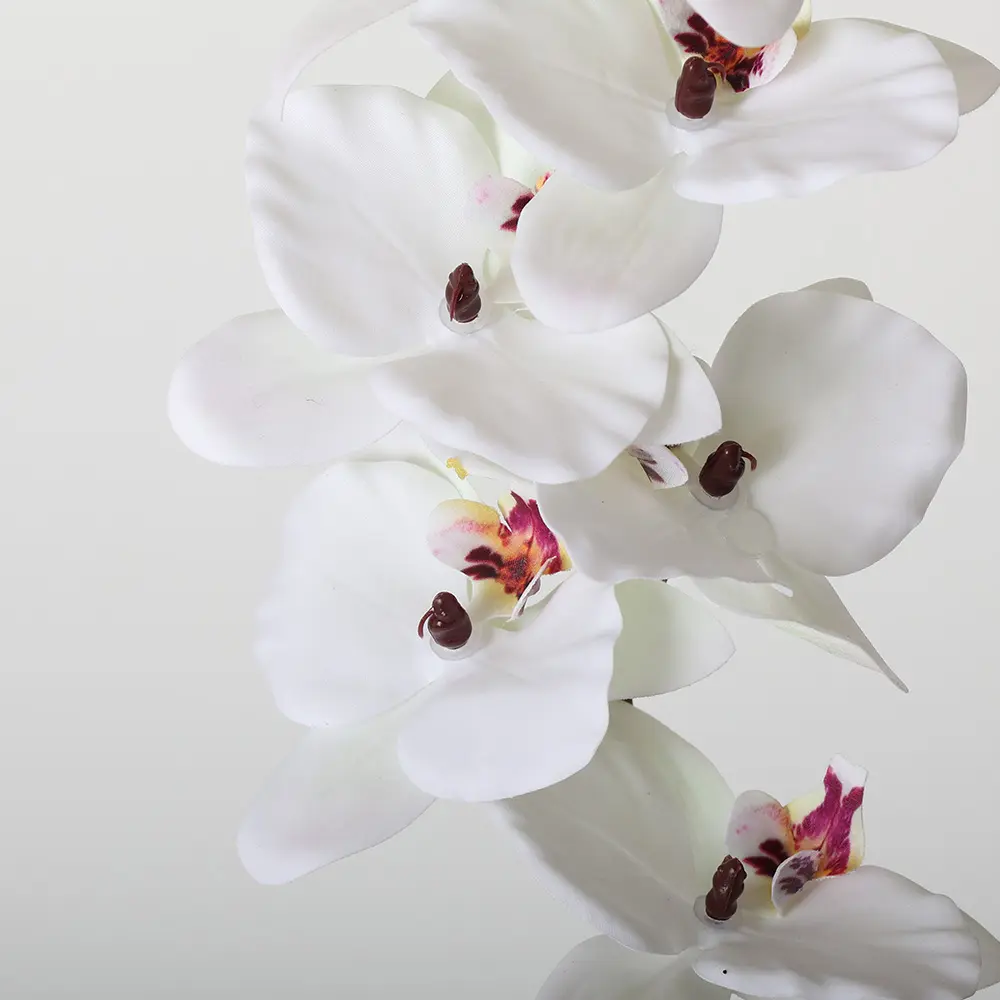 630886-1细节.webp