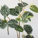 631158-4细节.webp