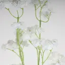 631722-1.webp