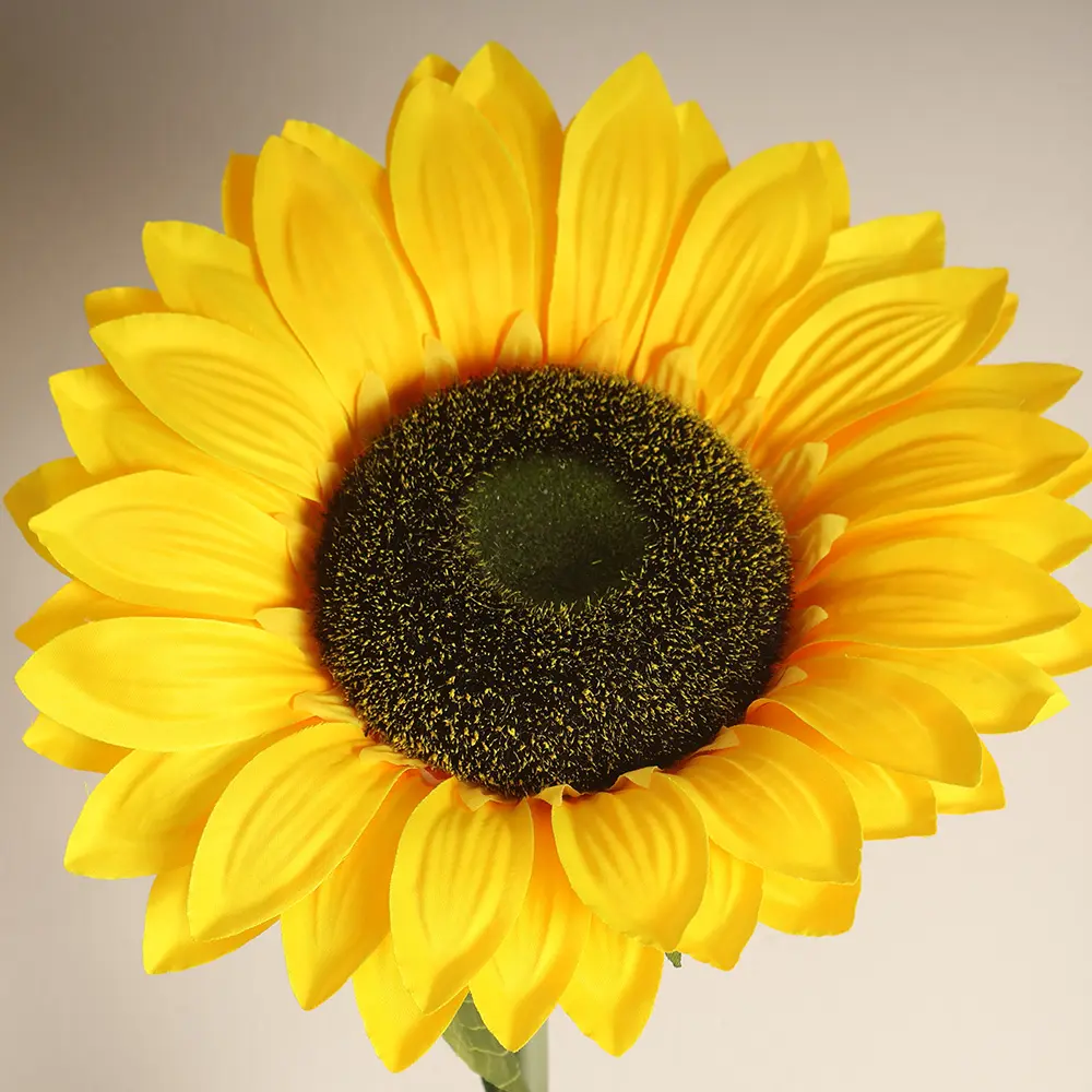 631744-1.webp