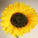 631744-1.webp