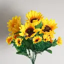 631745-1.webp