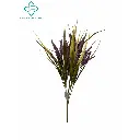 630707-紫色.webp