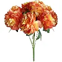 630597橘色.webp