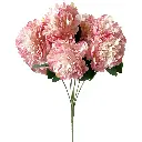 630597浅粉.webp