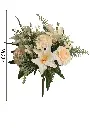 631079香槟.webp